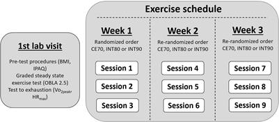 Affective Valence and Enjoyment in High- and Moderate-High Intensity Interval Exercise. The Tromsø Exercise Enjoyment Study